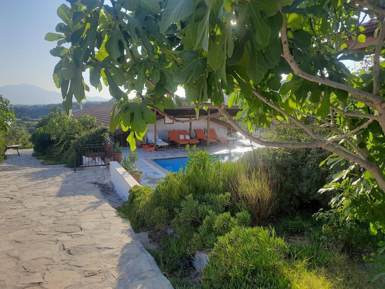 Ionia Guest House Aidim Exterior foto