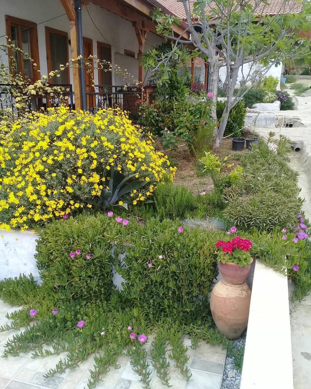 Ionia Guest House Aidim Exterior foto