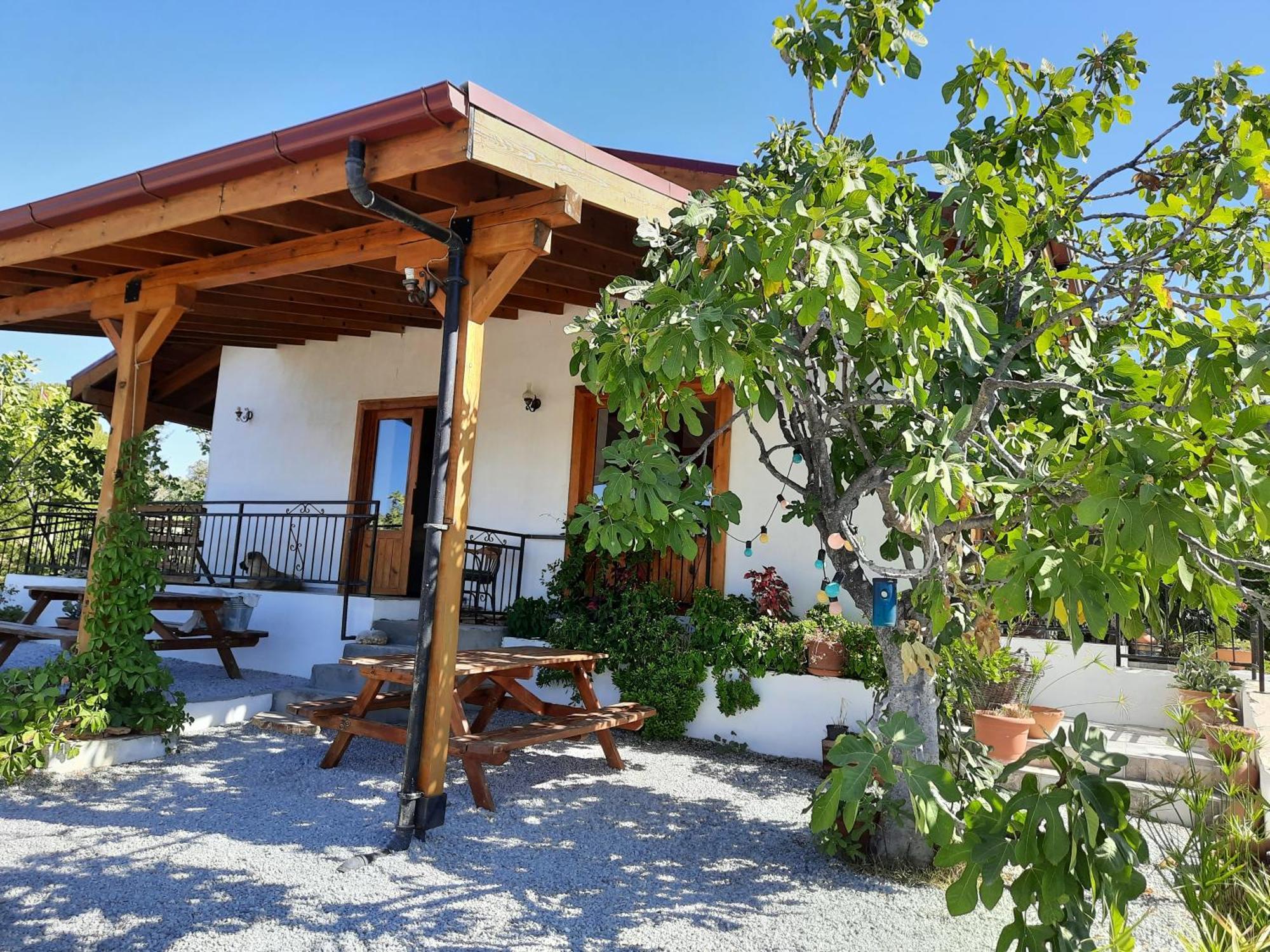 Ionia Guest House Aidim Exterior foto