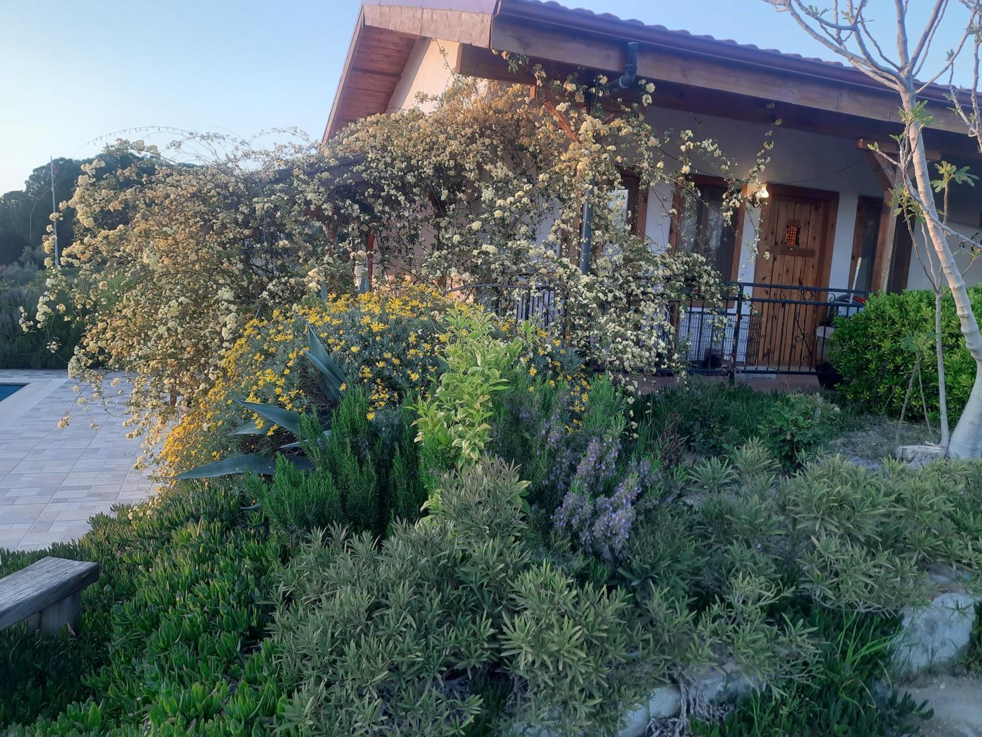 Ionia Guest House Aidim Exterior foto