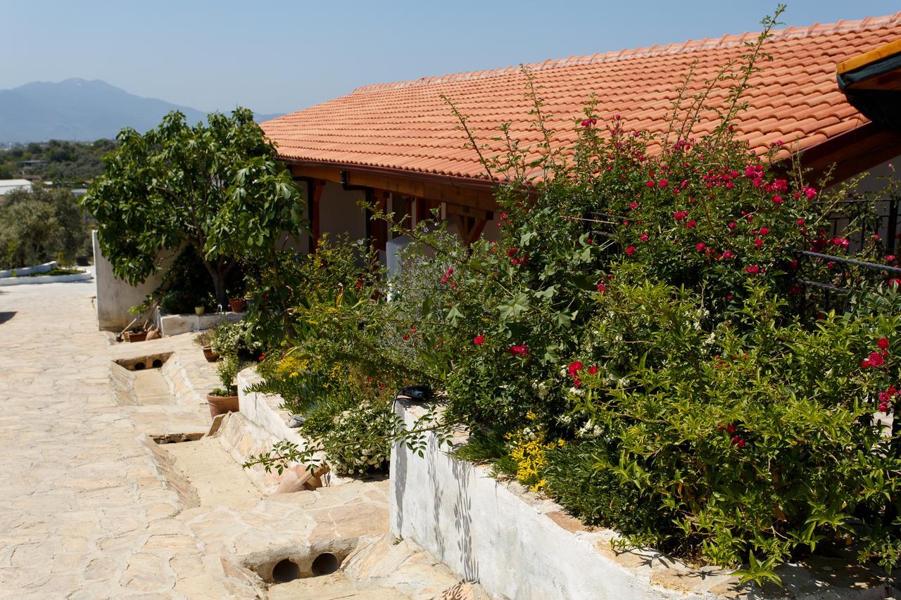 Ionia Guest House Aidim Exterior foto