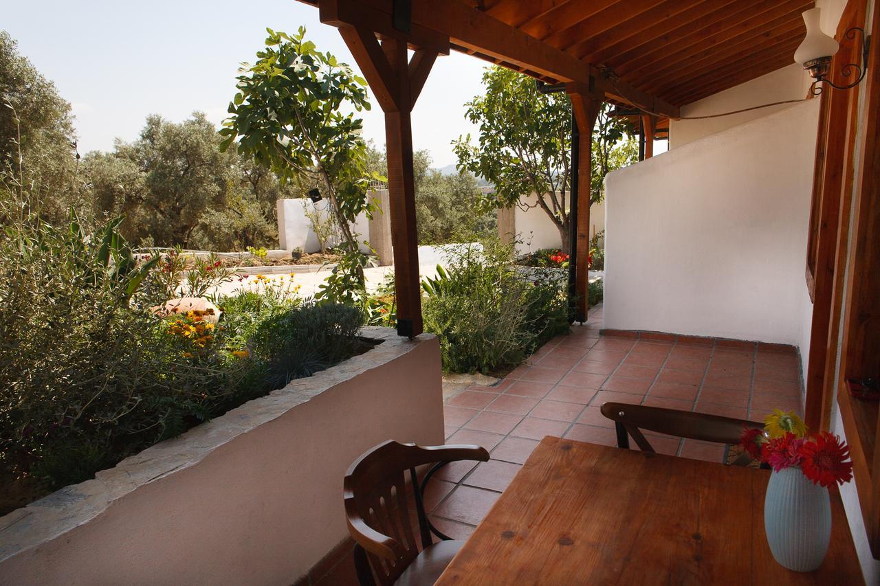 Ionia Guest House Aidim Exterior foto