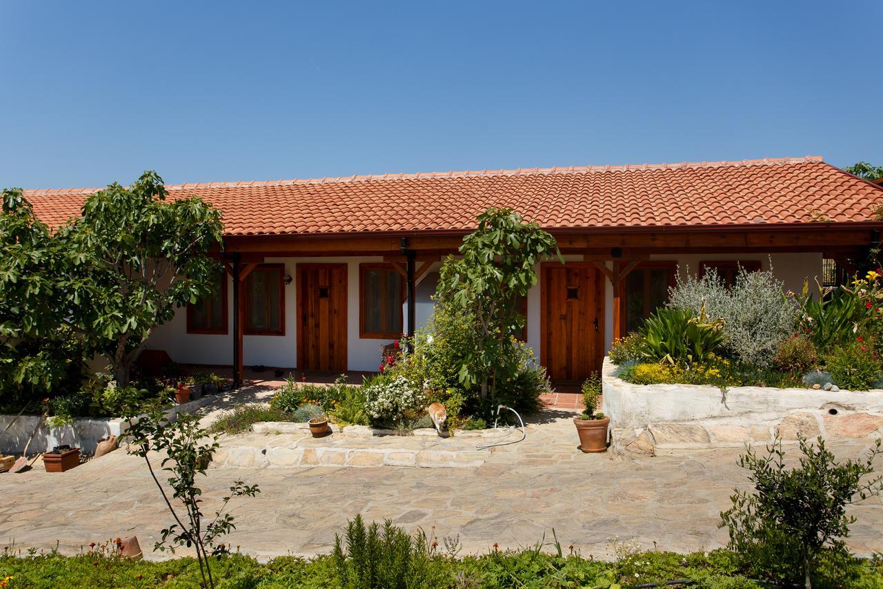 Ionia Guest House Aidim Exterior foto